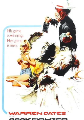 Poster de Gallos de pelea