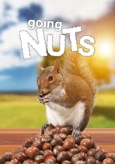 Poster de Going Nuts: Tales from the Squirrel World