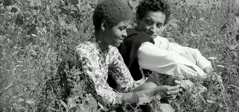 Guns of the Trees Trailer