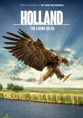 Poster de Holland: Natuur in de Delta