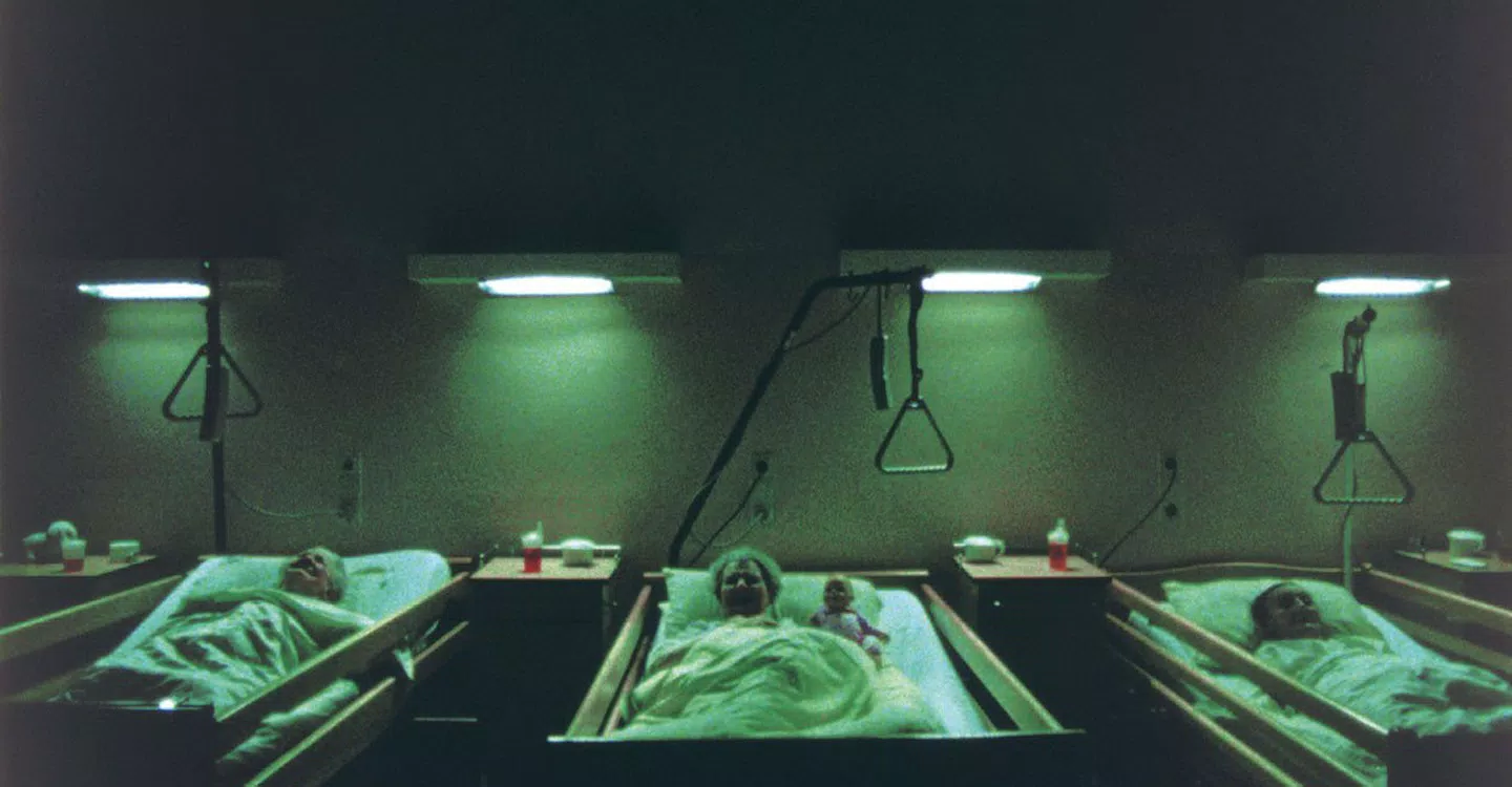 Import Export Trailer