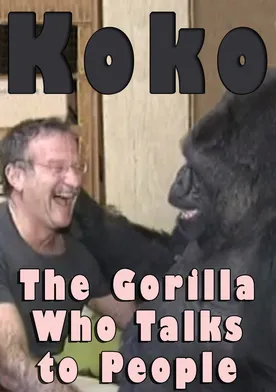 Poster de Koko: The Gorilla Who Talks to People