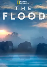 Poster de La inundación del Okavango
