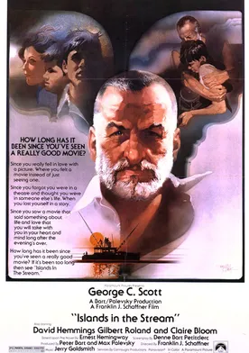 Poster de La isla del adiós