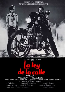 Poster de La ley de la calle
