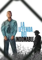 Poster de La leyenda del indomable