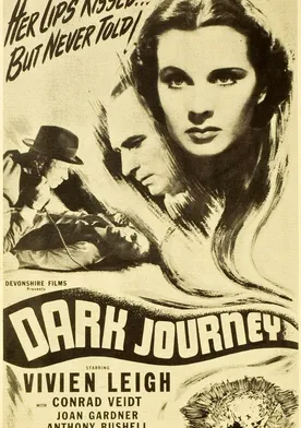 Poster de La mujer enigma