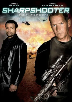 Poster de Liquidador