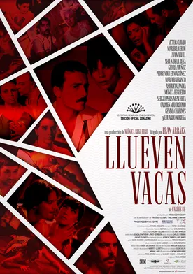 Poster de Llueven vacas