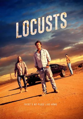 Poster El acierto