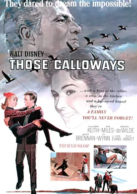 Poster de Los valientes Calloway