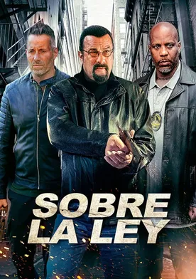 Poster de Más allá de la ley