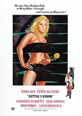 Poster de Mejor viuda que...