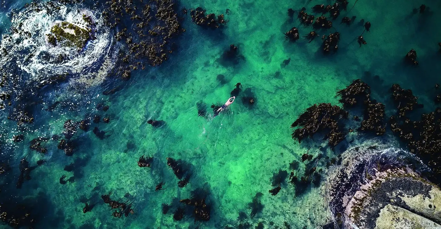 Mi maestro el pulpo Trailer