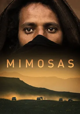 Poster de Mimosas
