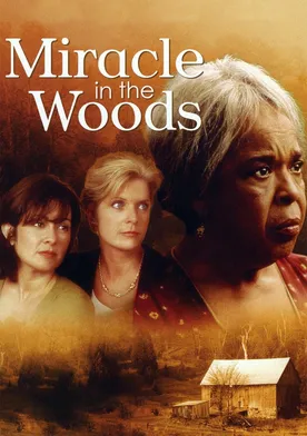 Poster de Miracle in the Woods