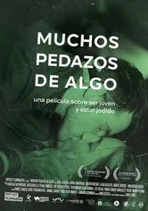 Poster de Muchos pedazos de algo