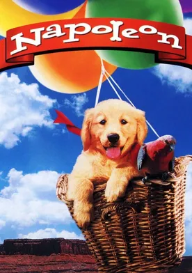 Poster de Napoleón, el perrito aventurero