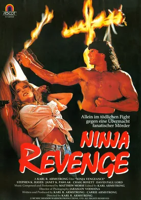 Poster Ninja Vengeance