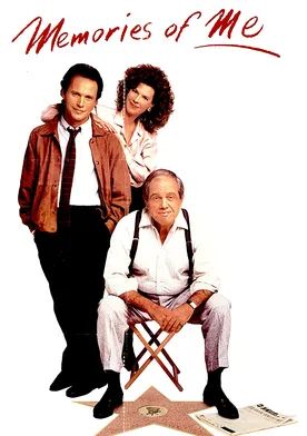 Poster de No somos perfectos, ni falta que hace