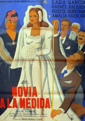 Poster de Novia a la medida