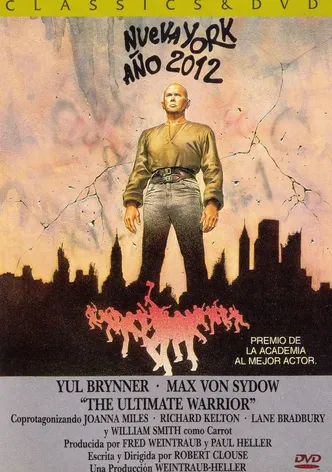 Poster Nueva York, año 2012