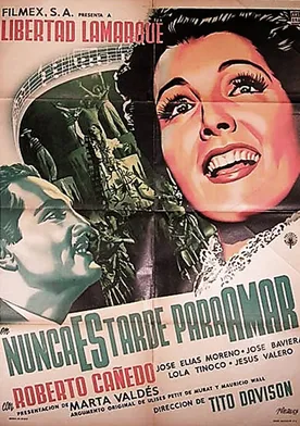 Poster de Nunca es tarde para amar