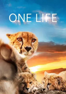 Poster de One Life