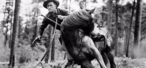 Pacto de honor Trailer