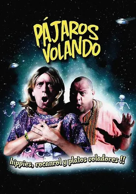 Poster de Pájaros volando