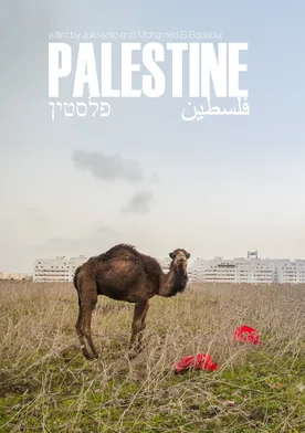 Poster de Palestine