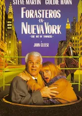 Poster de Perdidos En Nueva York