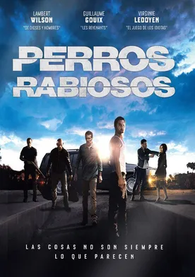 Poster Enragés