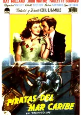 Poster Piratas del Caribe