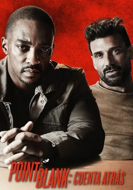 Poster de Point Blank