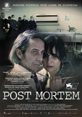 Poster de Post Mortem