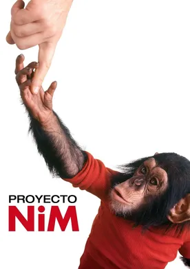 Poster de Proyecto Nim