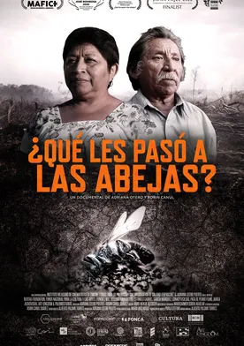 Poster de ¿Qué les pasó a las abejas?