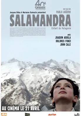 Poster de Salamander
