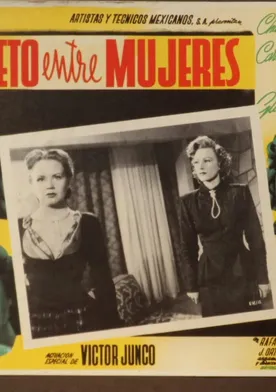 Poster de Secreto entre mujeres