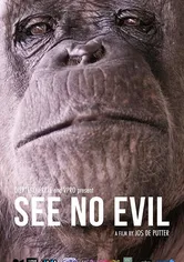 Poster de See No Evil