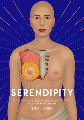 Poster de Serendipity