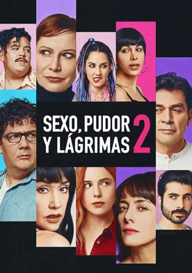 Poster de Sexo, pudor y lágrimas 2