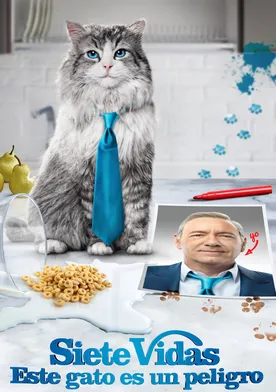 Poster de Mi papá es un gato