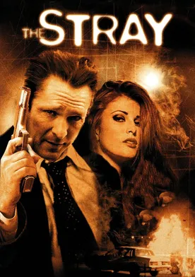 Poster de Siniestra amistad