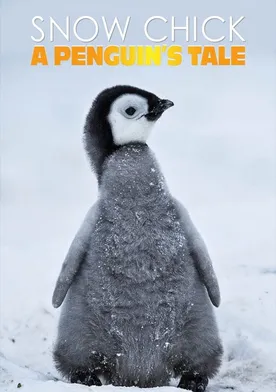 Poster de Snow Chick: A Penguin's Tale