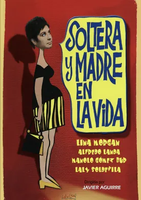Poster de Soltera y madre en la vida