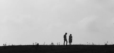 Spring Night Summer Night Trailer