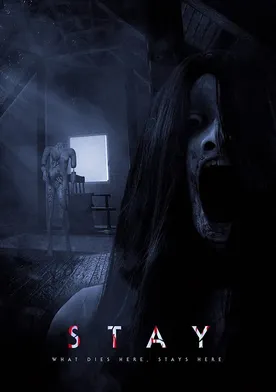 Poster de Stay