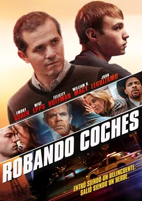 Poster de Stealing Cars